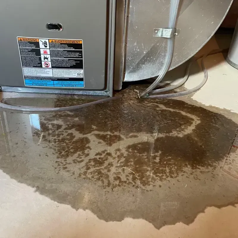 Appliance Leak Cleanup in Canton, SD